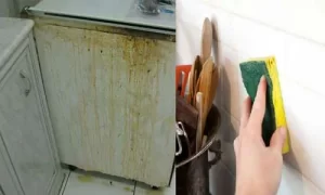 تغطية وأخبار كيفية تنظيف مطبخك من الدهون - كورة جول