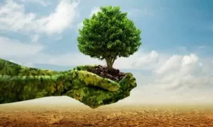 تغطية وأخبار أفضل الطرق للتعامل مع تغير المناخ - كورة جول